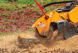 Best Tree Mulching  in Hawthorne, FL