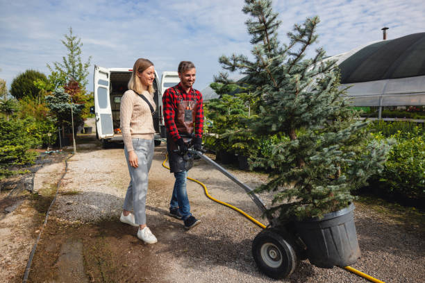 Best Seasonal Cleanup (Spring/Fall)  in Hawthorne, FL